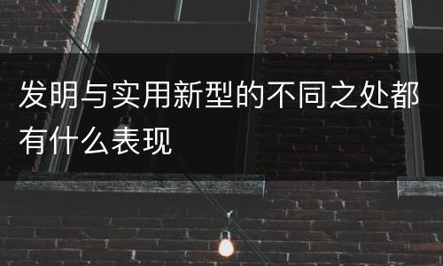 发明与实用新型的不同之处都有什么表现