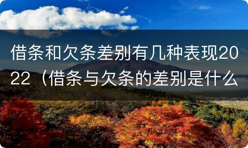 借条和欠条差别有几种表现2022（借条与欠条的差别是什么）
