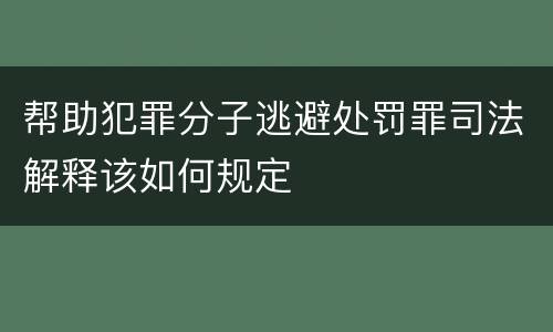 帮助犯罪分子逃避处罚罪司法解释该如何规定