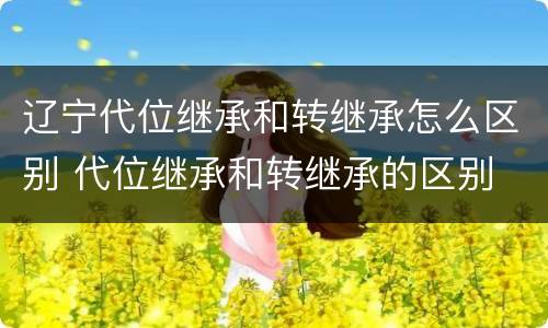 辽宁代位继承和转继承怎么区别 代位继承和转继承的区别