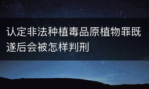 认定非法种植毒品原植物罪既遂后会被怎样判刑