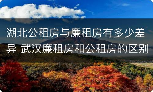 湖北公租房与廉租房有多少差异 武汉廉租房和公租房的区别