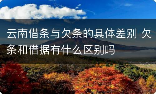 云南借条与欠条的具体差别 欠条和借据有什么区别吗
