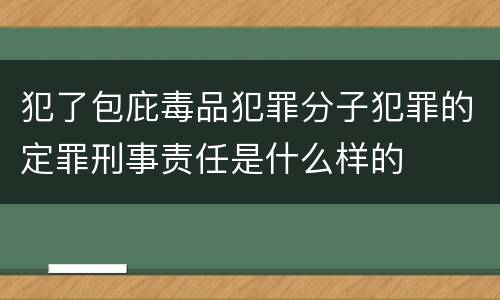 犯了包庇毒品犯罪分子犯罪的定罪刑事责任是什么样的