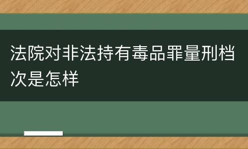法院对非法持有毒品罪量刑档次是怎样