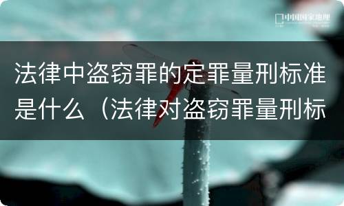 法律中盗窃罪的定罪量刑标准是什么（法律对盗窃罪量刑标准金额）