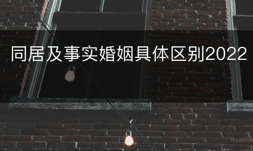 同居及事实婚姻具体区别2022
