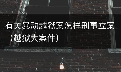 有关暴动越狱案怎样刑事立案（越狱大案件）