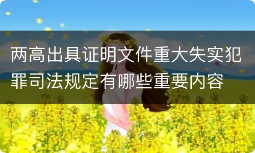 两高出具证明文件重大失实犯罪司法规定有哪些重要内容