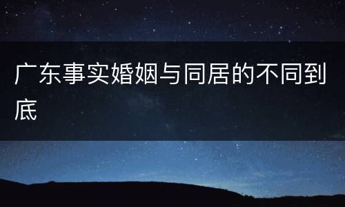 广东事实婚姻与同居的不同到底