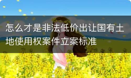 怎么才是非法低价出让国有土地使用权案件立案标准