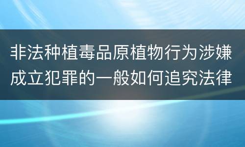 非法种植毒品原植物行为涉嫌成立犯罪的一般如何追究法律责任