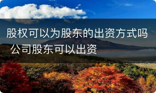 股权可以为股东的出资方式吗 公司股东可以出资