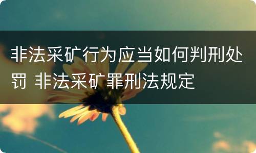 非法采矿行为应当如何判刑处罚 非法采矿罪刑法规定