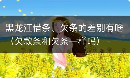 黑龙江借条、欠条的差别有啥（欠款条和欠条一样吗）