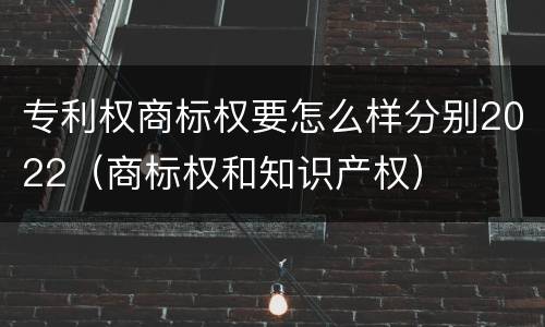 专利权商标权要怎么样分别2022（商标权和知识产权）