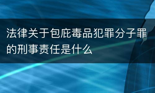 法律关于包庇毒品犯罪分子罪的刑事责任是什么