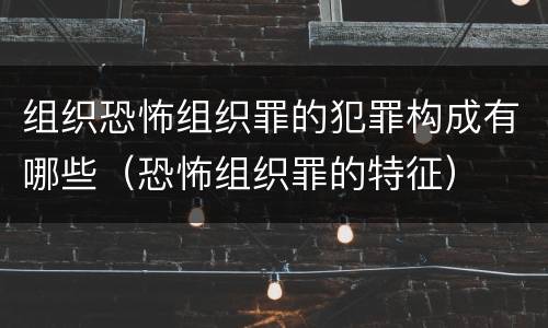 组织恐怖组织罪的犯罪构成有哪些（恐怖组织罪的特征）