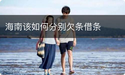 海南该如何分别欠条借条