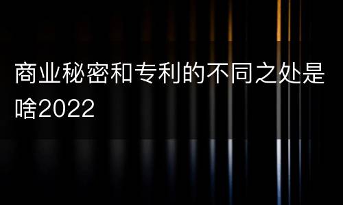 商业秘密和专利的不同之处是啥2022
