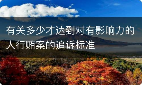 有关多少才达到对有影响力的人行贿案的追诉标准