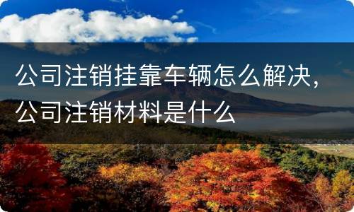 公司注销挂靠车辆怎么解决，公司注销材料是什么