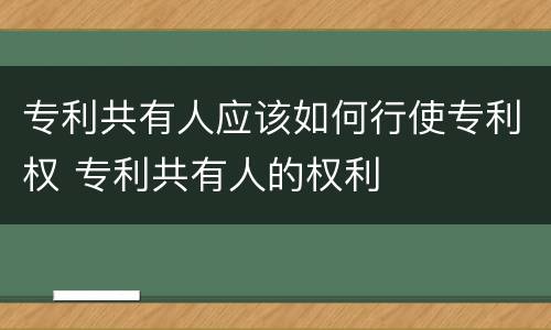 专利共有人应该如何行使专利权 专利共有人的权利