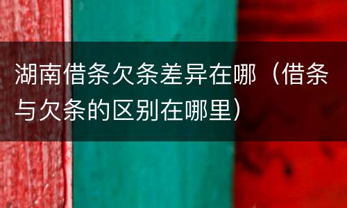 湖南借条欠条差异在哪（借条与欠条的区别在哪里）