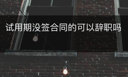 试用期没签合同的可以辞职吗