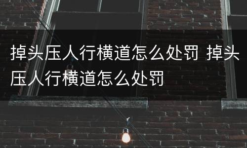 掉头压人行横道怎么处罚 掉头压人行横道怎么处罚