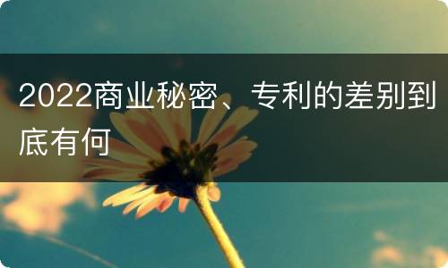 2022商业秘密、专利的差别到底有何