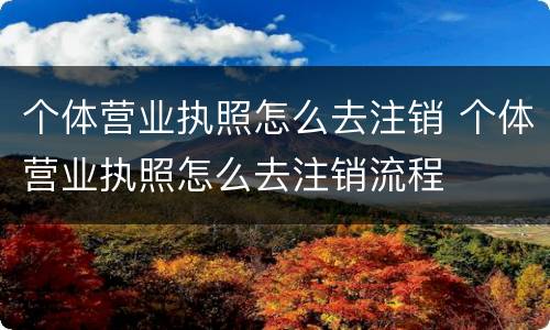 个体营业执照怎么去注销 个体营业执照怎么去注销流程