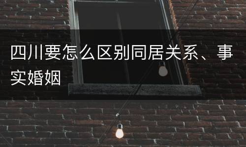 四川要怎么区别同居关系、事实婚姻