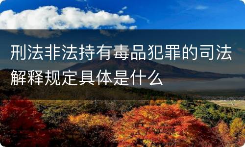刑法非法持有毒品犯罪的司法解释规定具体是什么
