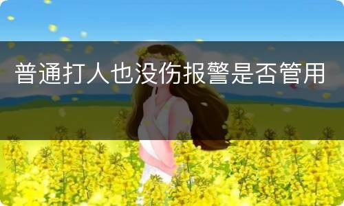 普通打人也没伤报警是否管用