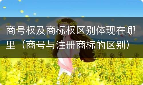 商号权及商标权区别体现在哪里（商号与注册商标的区别）