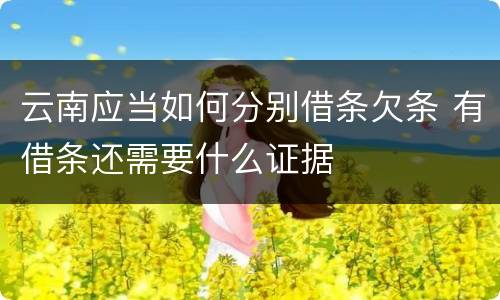 云南应当如何分别借条欠条 有借条还需要什么证据