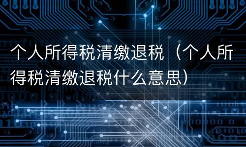 个人所得税清缴退税（个人所得税清缴退税什么意思）