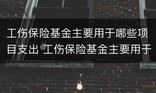 工伤保险基金主要用于哪些项目支出 工伤保险基金主要用于支付什么