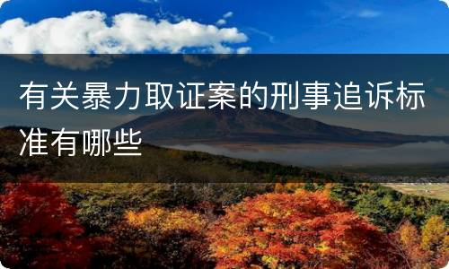有关暴力取证案的刑事追诉标准有哪些