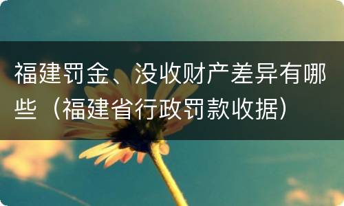 福建罚金、没收财产差异有哪些（福建省行政罚款收据）
