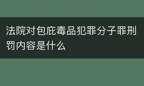 法院对包庇毒品犯罪分子罪刑罚内容是什么