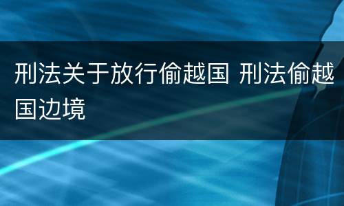 刑法关于放行偷越国 刑法偷越国边境 刑法关于放行偷越国 刑法偷越国边境
