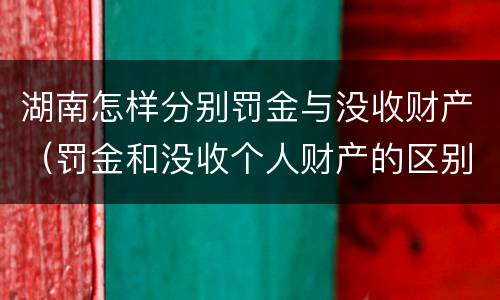 湖南怎样分别罚金与没收财产（罚金和没收个人财产的区别）