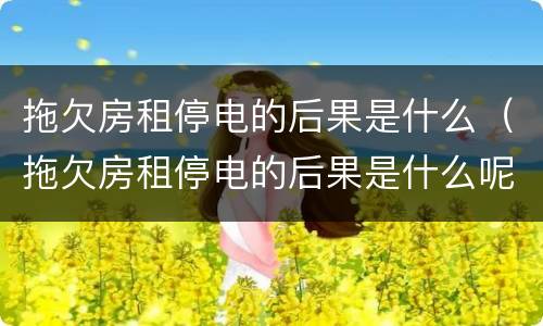 拖欠房租停电的后果是什么（拖欠房租停电的后果是什么呢）