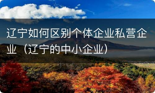 辽宁如何区别个体企业私营企业（辽宁的中小企业）