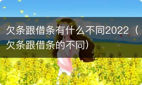 欠条跟借条有什么不同2022（欠条跟借条的不同）