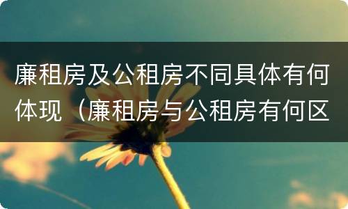 廉租房及公租房不同具体有何体现（廉租房与公租房有何区别）