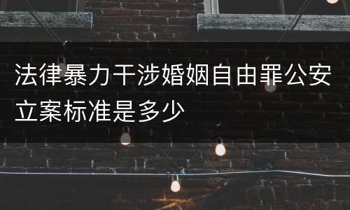 法律暴力干涉婚姻自由罪公安立案标准是多少