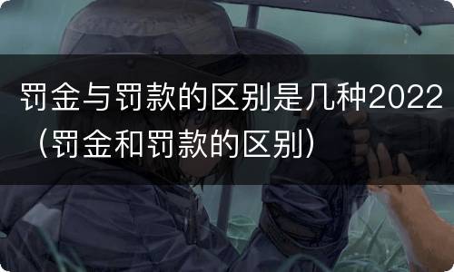 罚金与罚款的区别是几种2022（罚金和罚款的区别）
